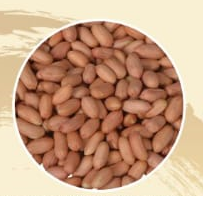VIRGINIA (LONG TYPE) PEANUT KERNELS