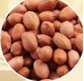  RUNNER (REGULAR) PEANUT KERNLES